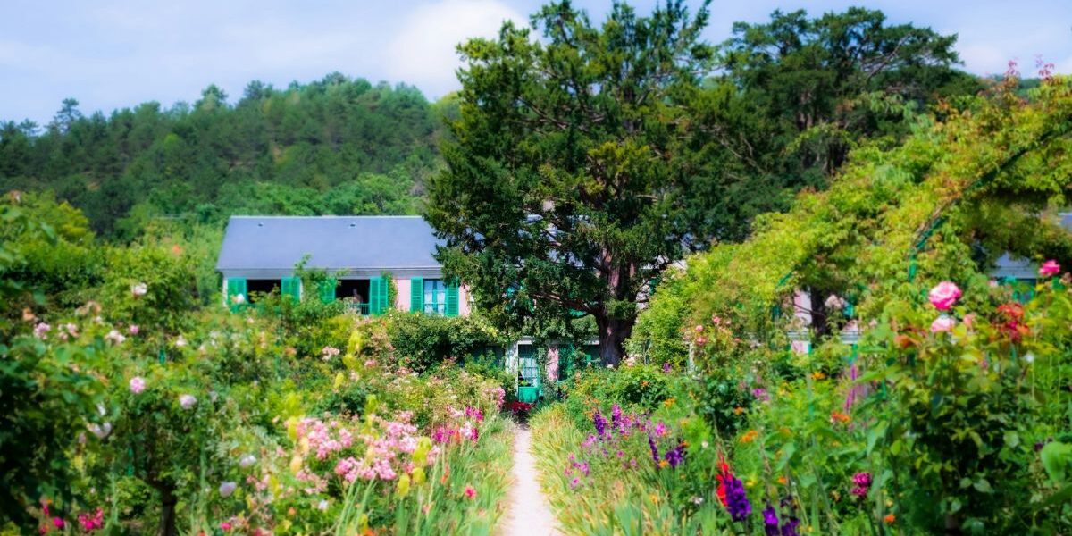 Деревья для дома: три варианта, создающие уют и отпугивающие вредителей