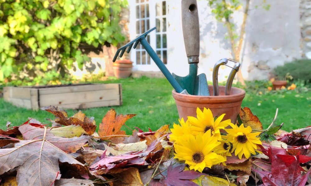 10 осенних ошибок дачников, которые легко избежать