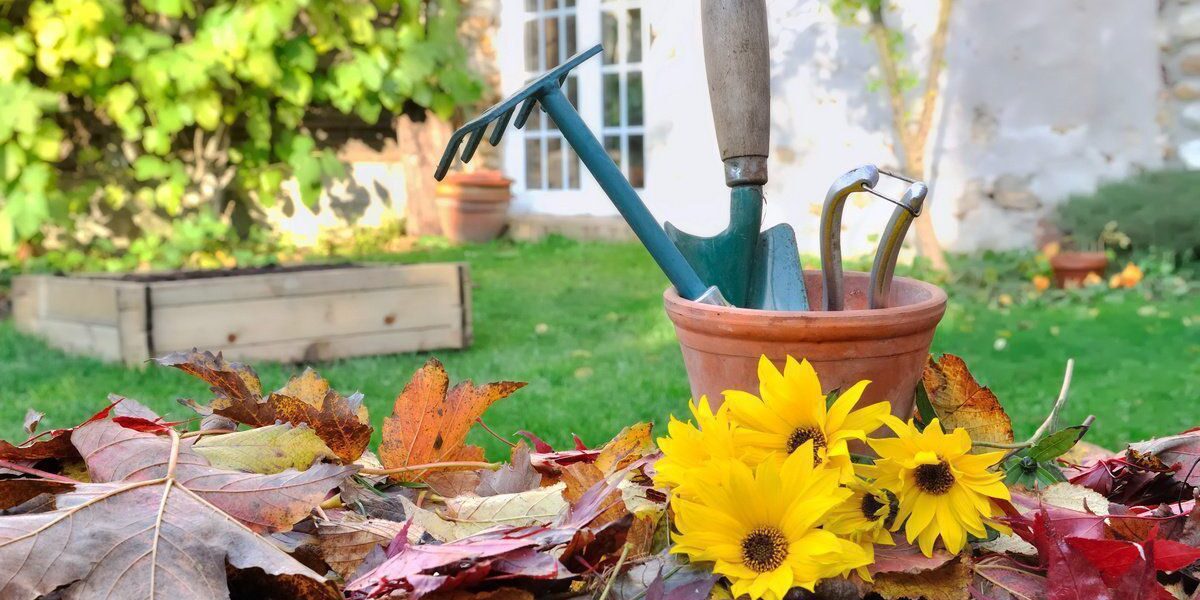 10 осенних ошибок дачников, которые легко избежать