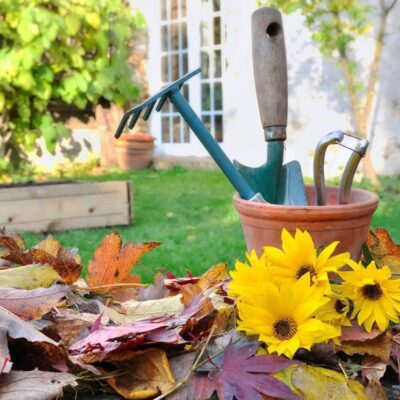 10 осенних ошибок дачников, которые легко избежать