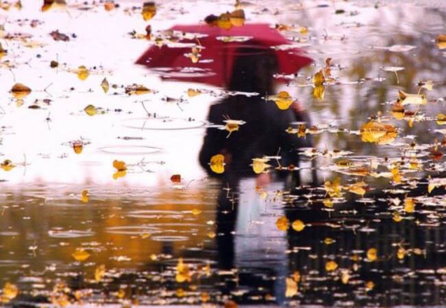 Как укрепить иммунитет осенью: 9 проверенных советов для женского здоровья