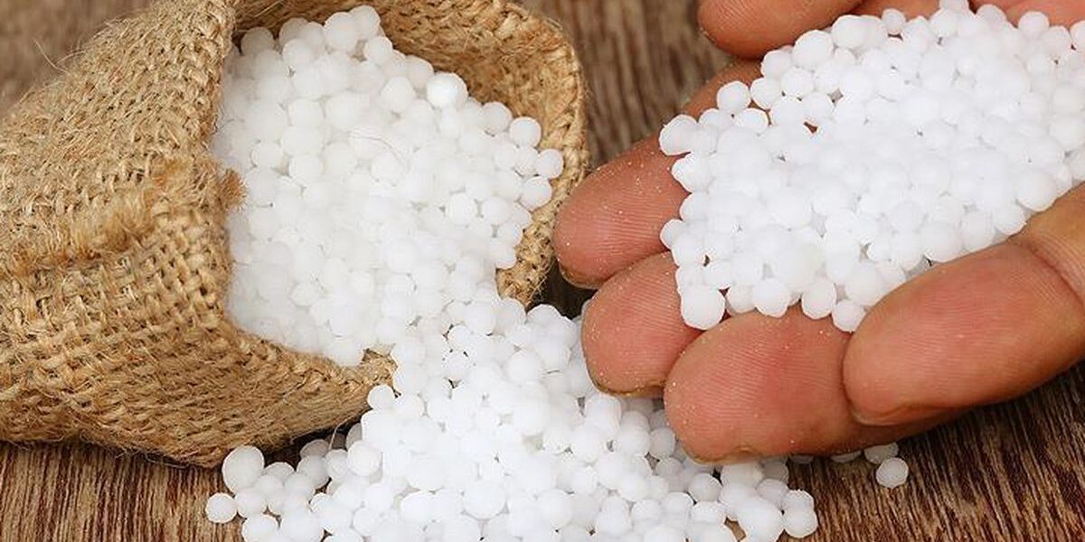 Уход за растениями на балконе и подоконнике: как хранить почву и удобрения в квартире