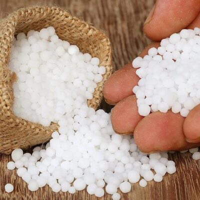 Уход за растениями на балконе и подоконнике: как хранить почву и удобрения в квартире