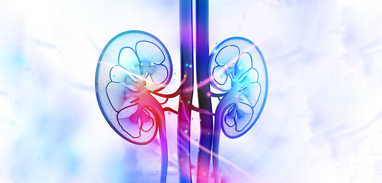 8 сигналов организма о проблемах с почками: на что обратить внимание каждой женщине