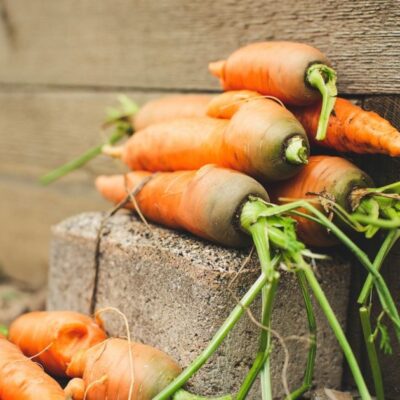 Урожай моркови без трещин: секреты идеального роста для вашего огорода