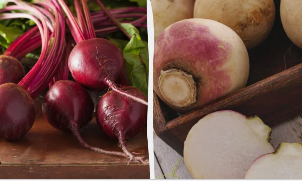 Храним свёклу до весны: 6 проверенных способов сохранить урожай