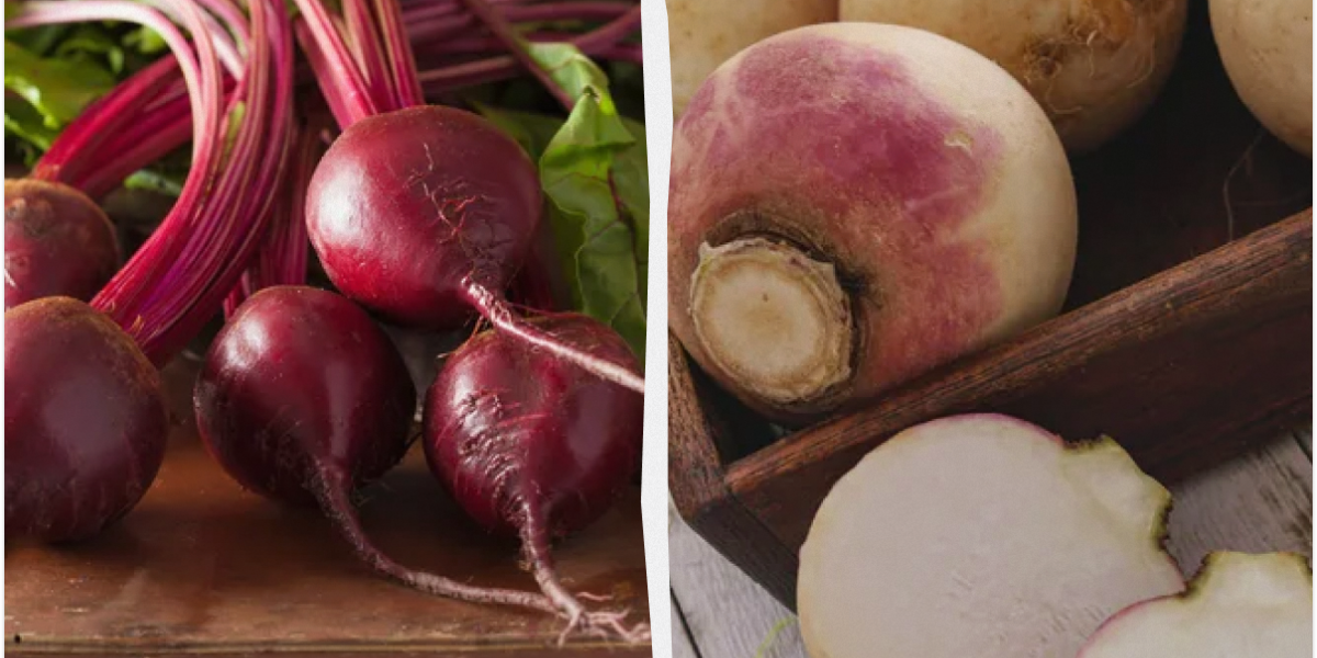 Храним свёклу до весны: 6 проверенных способов сохранить урожай