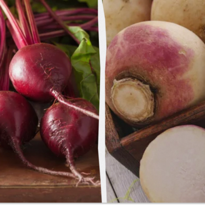 Храним свёклу до весны: 6 проверенных способов сохранить урожай