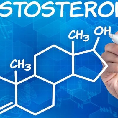 Секрет мужского успеха: почему тестостерон не главный фактор