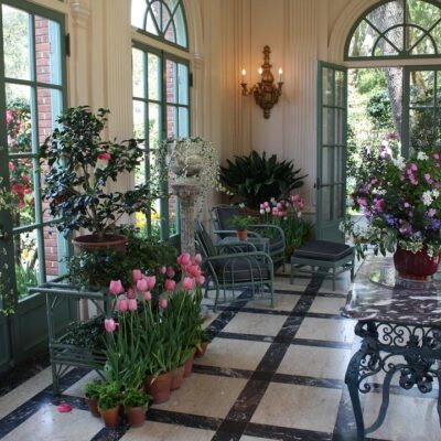 Секрет пышного цветения: доступное средство для ваших комнатных растений