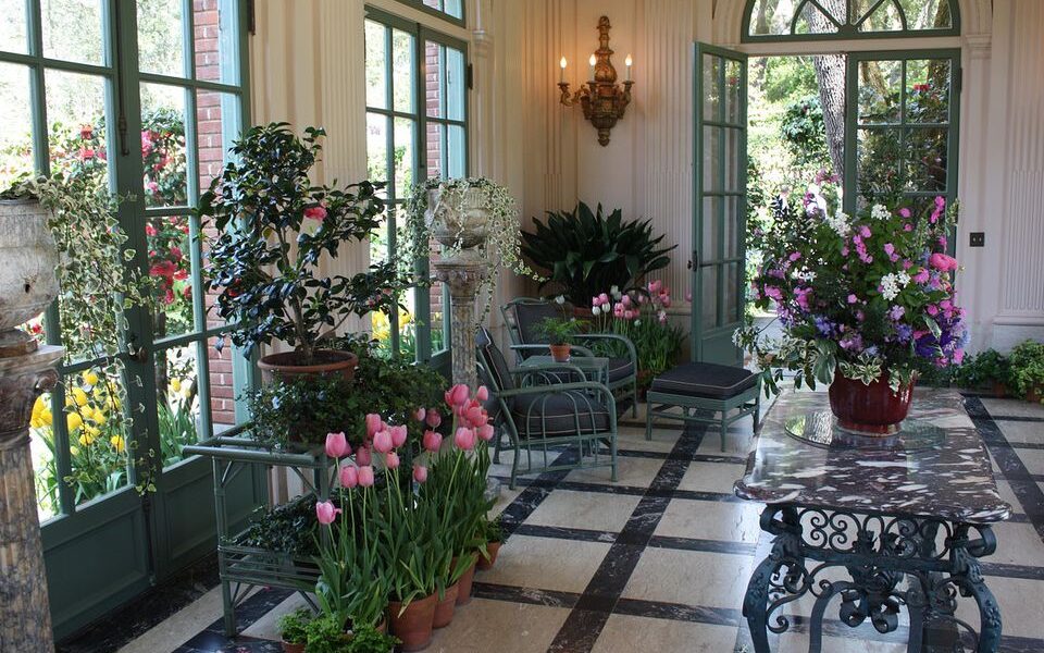 Секрет пышного цветения: доступное средство для ваших комнатных растений