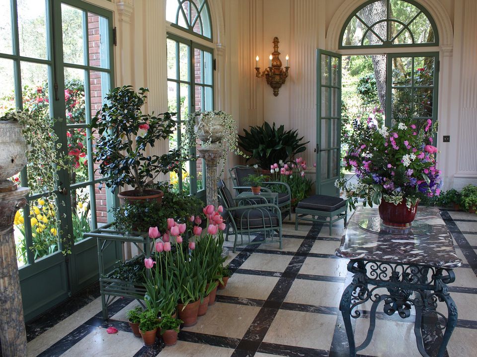 Секрет пышного цветения: доступное средство для ваших комнатных растений