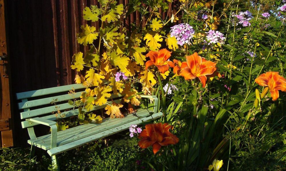 Садовые многолетники: 3 идеи для преображения вашего участка