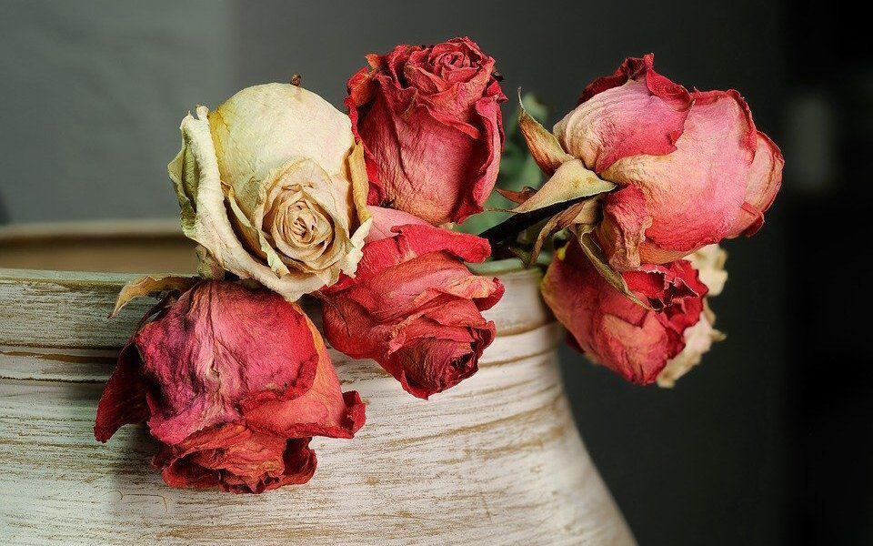 Как красиво засушить цветы дома: простые лайфхаки для уюта