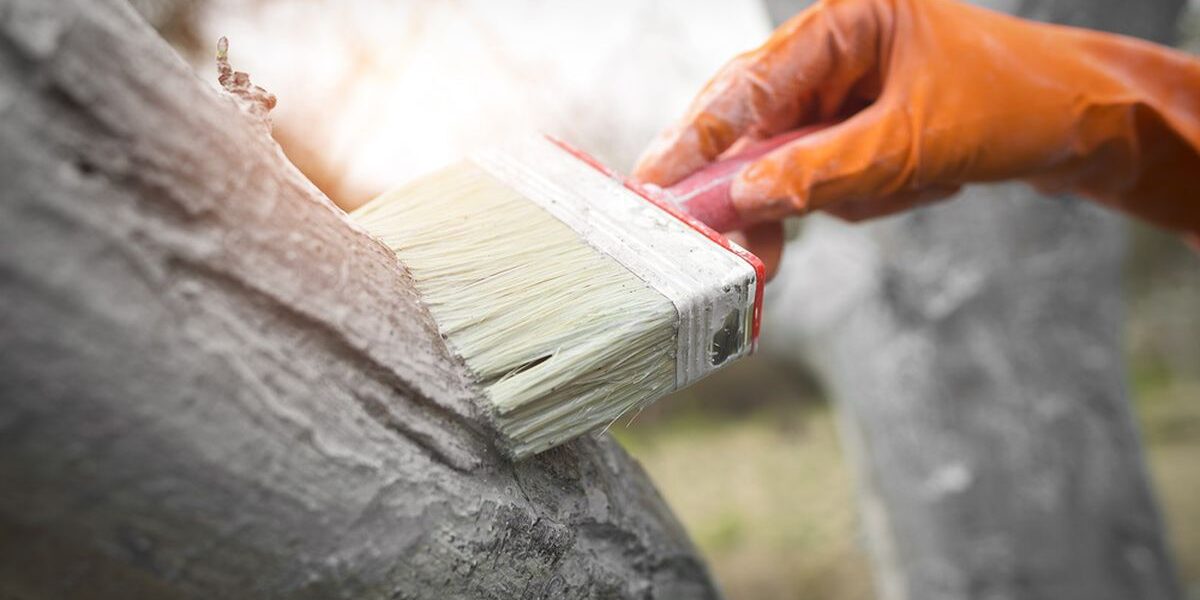 Садовые мифы: какие работы действительно бесполезны для вашего участка