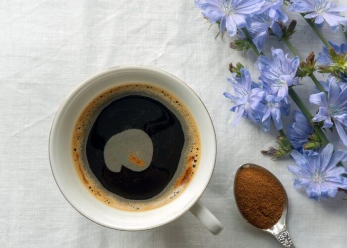 Цикорий: польза, вред и секреты идеального напитка для домашнего уюта