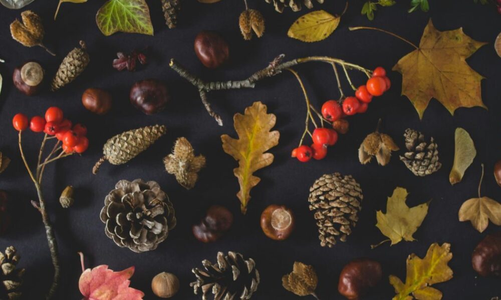 Именины 25 ноября: поздравляем и дарим подарки