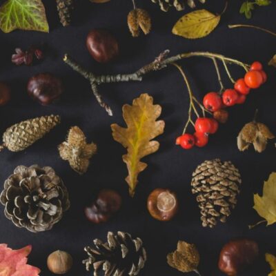 Именины 25 ноября: поздравляем и дарим подарки