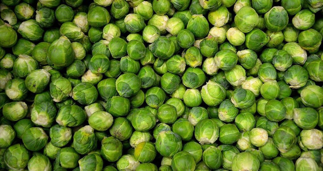 Брюссельская капуста: секреты выращивания и ухода для вашего уютного дома