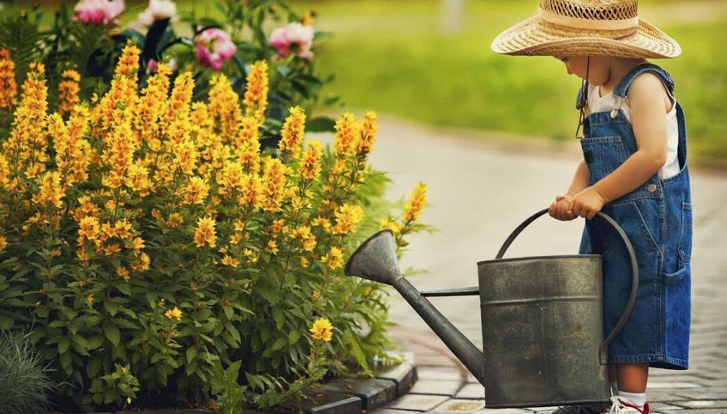 Летний сад: 10 незаменимых дел в июле для вашего урожая и красоты