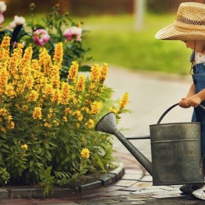 Летний сад: 10 незаменимых дел в июле для вашего урожая и красоты