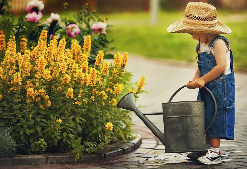 Летний сад: 10 незаменимых дел в июле для вашего урожая и красоты