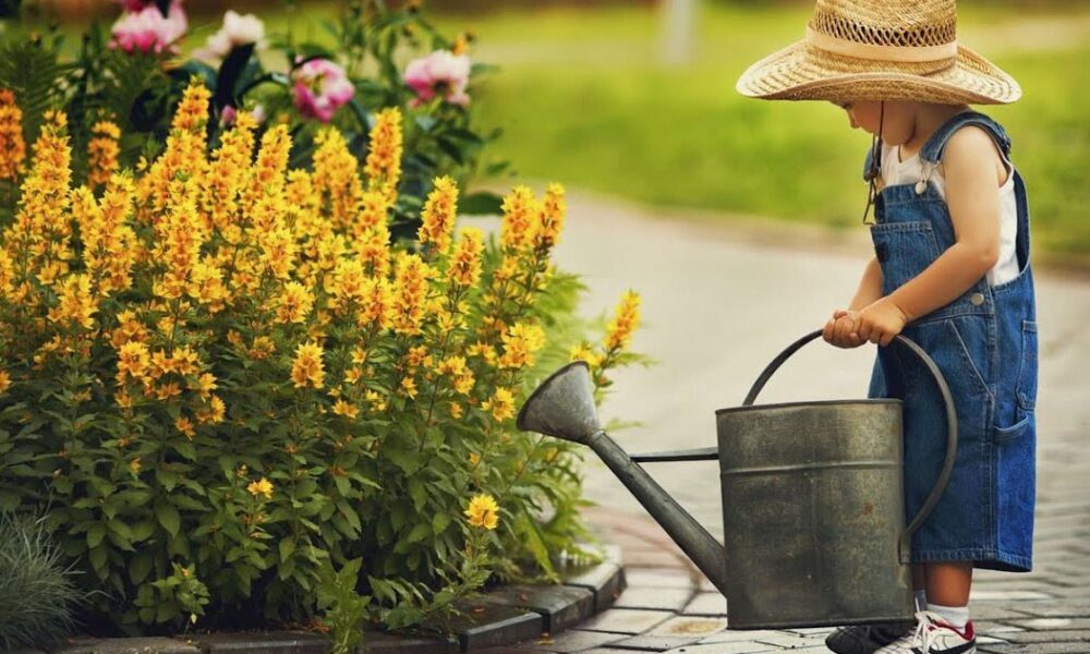 Садовые хлопоты в июле: 10 дел, которые нельзя пропустить