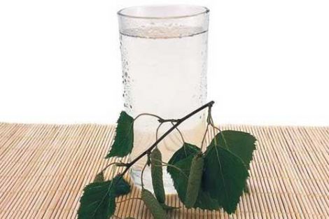 Березовый сок: секрет женского здоровья и красоты