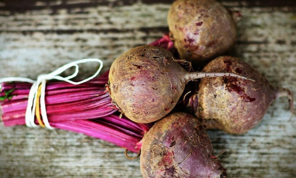Как сохранить свеклу до весны: проверенные способы для дома и дачи