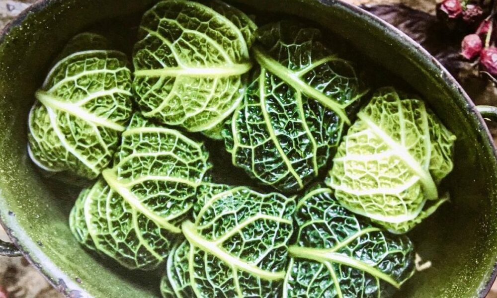 Голубцы из савойской капусты: простой и вкусный рецепт для вашего стола