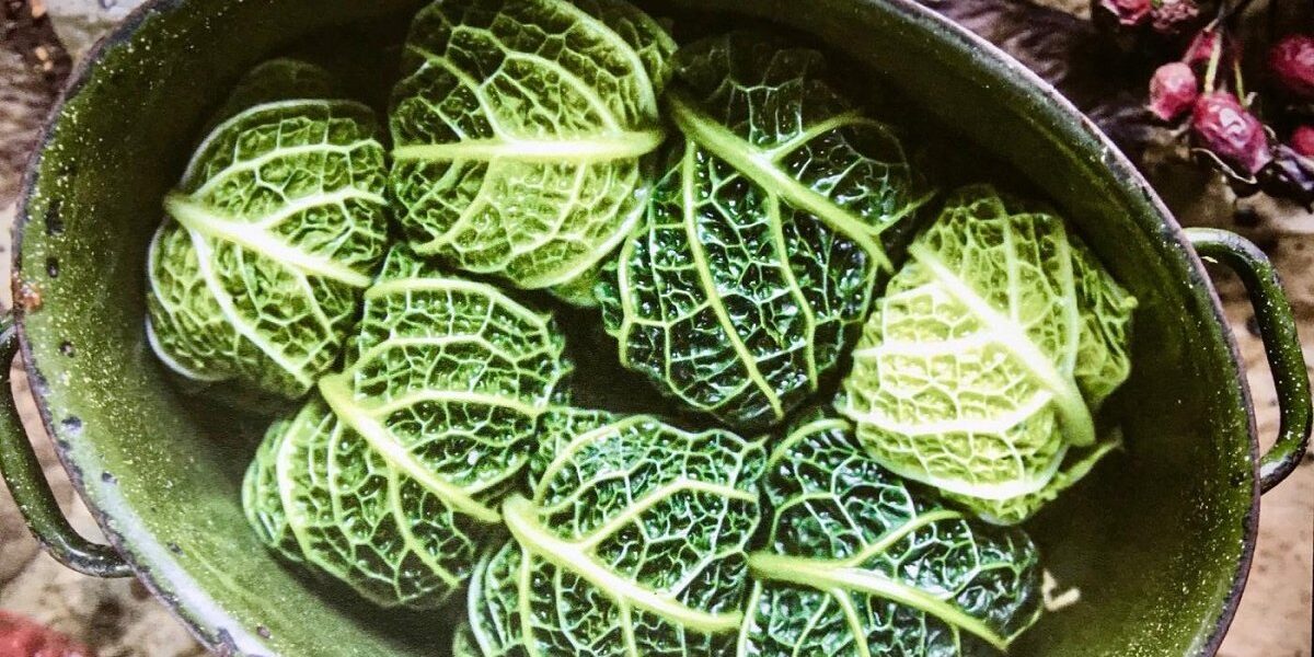 Голубцы из савойской капусты: простой и вкусный рецепт для вашего стола