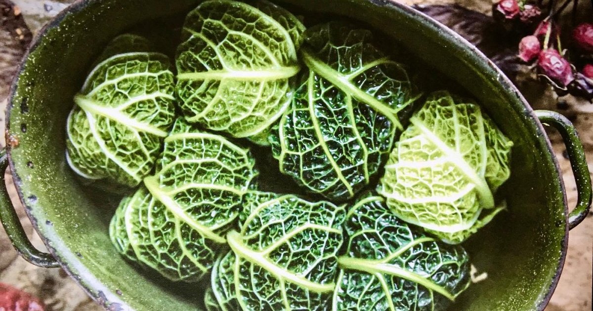 Голубцы из савойской капусты: простой и вкусный рецепт для вашего стола