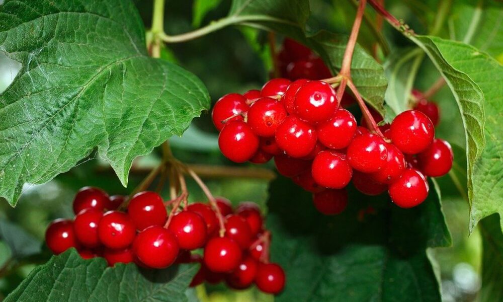 Секреты красоты звезд: как повторить звездный макияж и уход