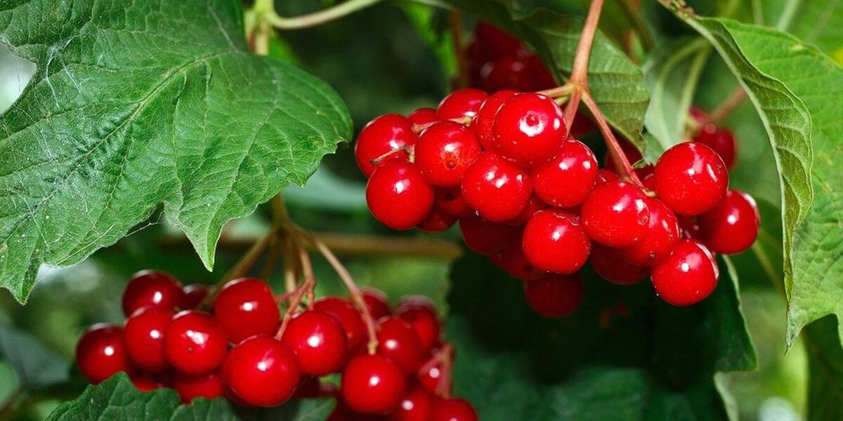 Секреты красоты звезд: как повторить звездный макияж и уход