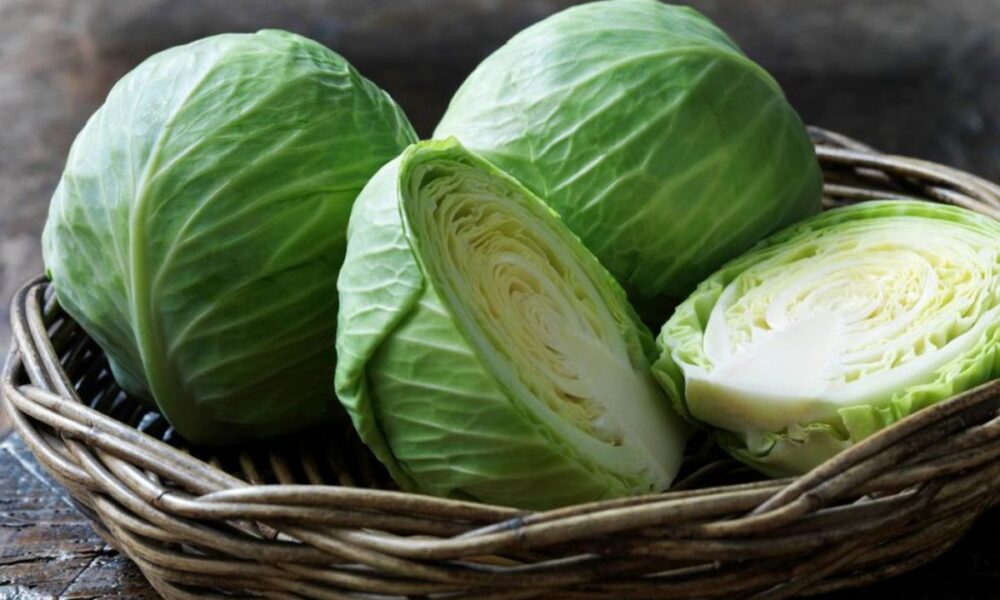 Секреты хранения белокочанной капусты в холодильнике: как сохранить свежесть и сочность