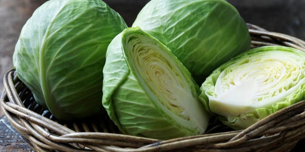 Секреты хранения белокочанной капусты в холодильнике: как сохранить свежесть и сочность