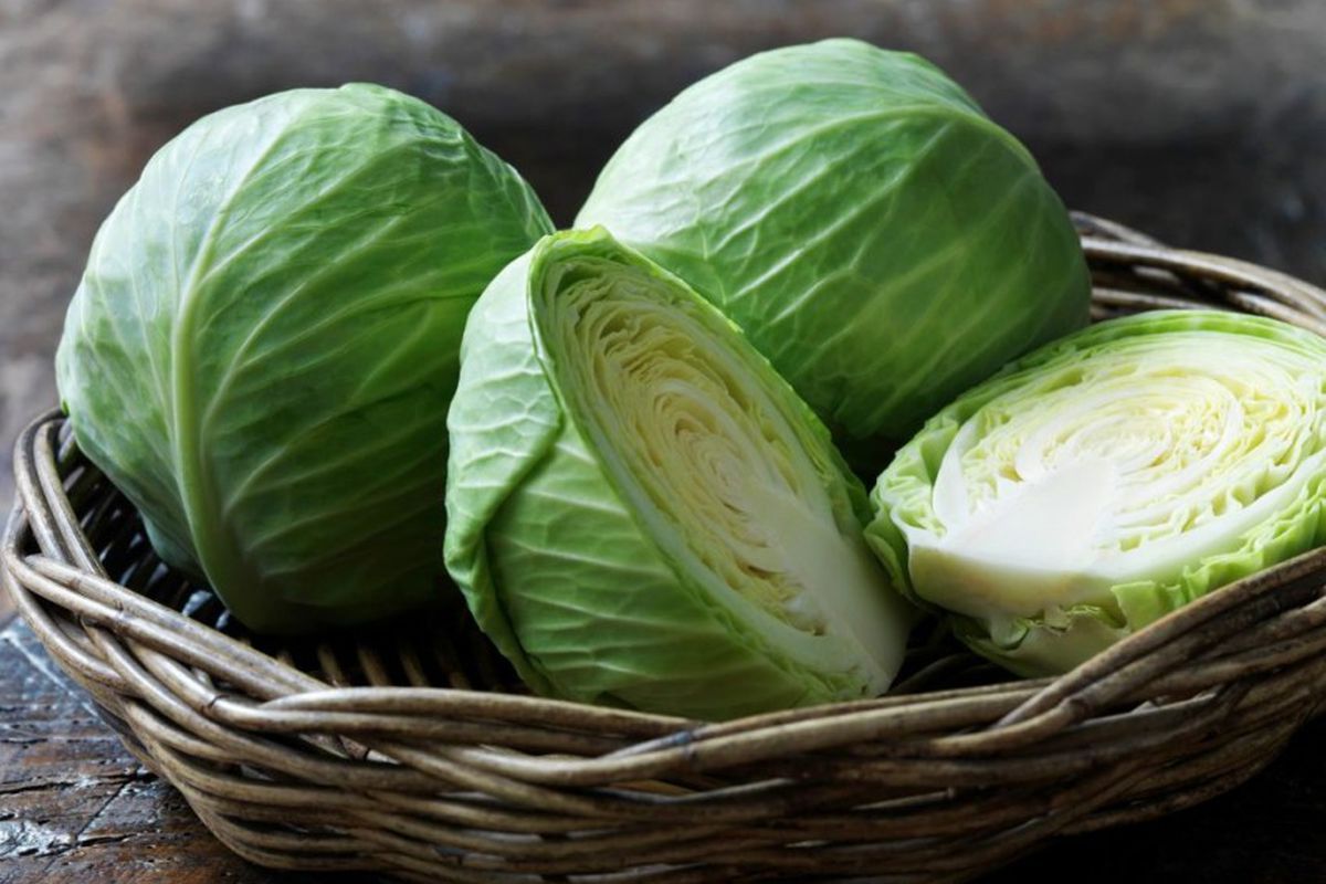Секреты хранения белокочанной капусты в холодильнике: как сохранить свежесть и сочность