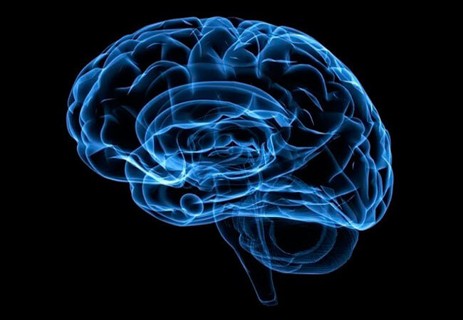 Продукты для мозга: что есть, чтобы быть умнее и продуктивнее