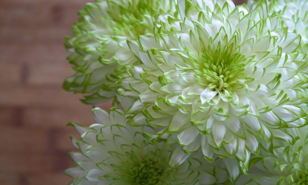 Модные тренды: как быть стильной этой весной и летом