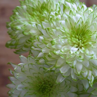 Модные тренды: как быть стильной этой весной и летом