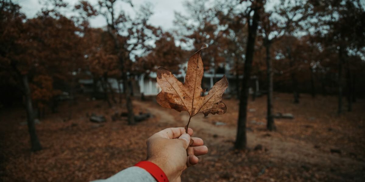 Именины 8 ноября: поздравления для близких и родных
