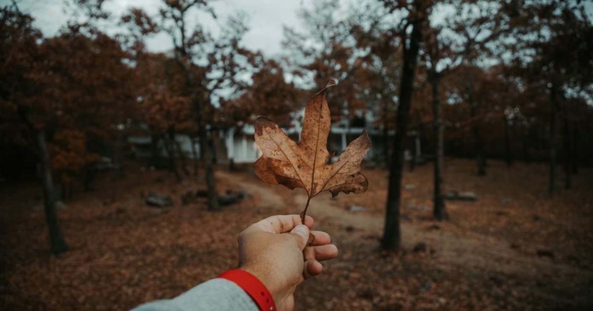 Именины 8 ноября: поздравления для близких и родных