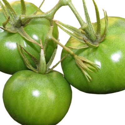 Как сохранить зеленые помидоры: полезные советы для вашего урожая