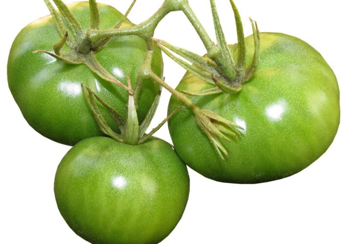 Как сохранить зеленые помидоры: полезные советы для вашего урожая