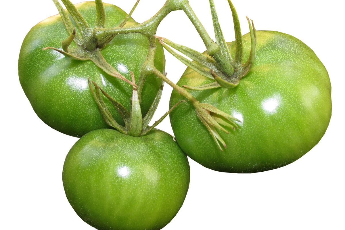 Как сохранить зеленые помидоры: полезные советы для вашего урожая