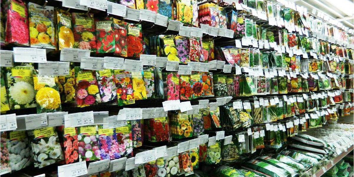 Смесь цветов для клумбы: стоит ли покупать и как выбрать идеальный вариант