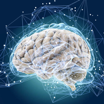 Улучшите память и внимание: утренние ритуалы для женского здоровья мозга