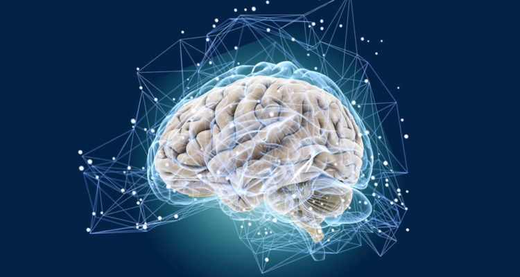 Улучшите память и внимание: утренние ритуалы для женского здоровья мозга