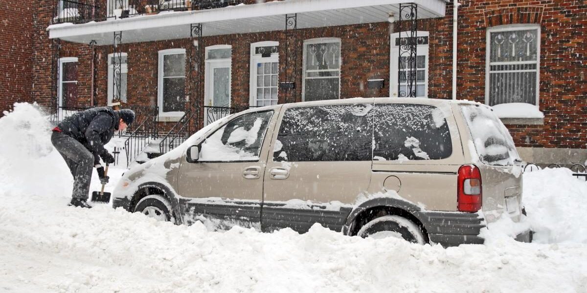 Уход за садом зимой: как сохранить растения здоровыми в морозы