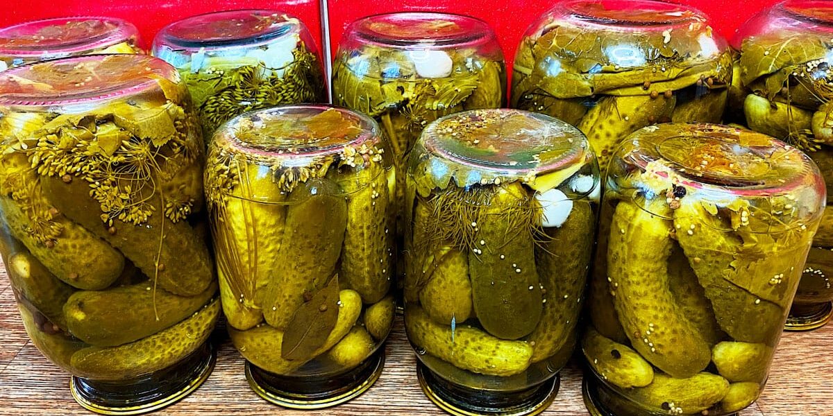 Закрываем огурцы на зиму без стерилизации: проверенный летний рецепт